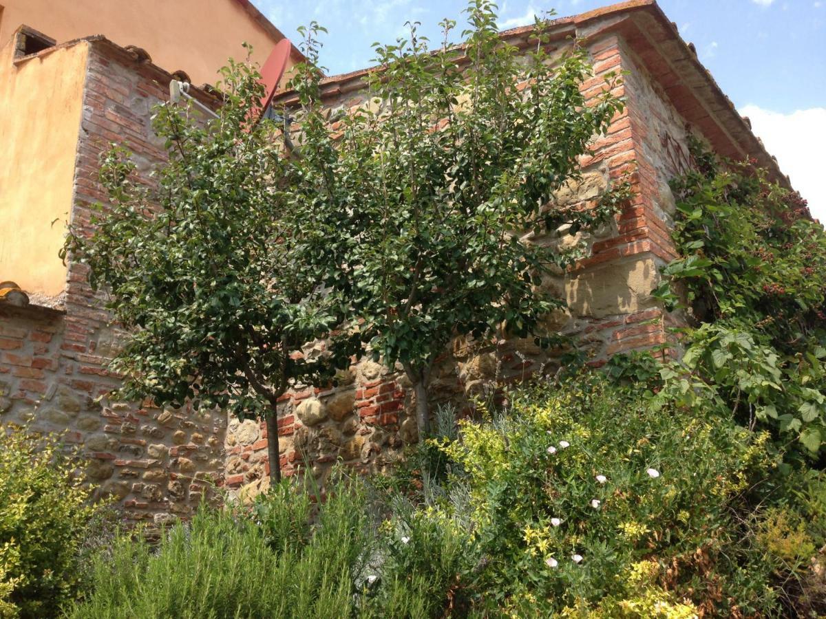 Agriturismo Pieve De Pitti Terricciola Экстерьер фото
