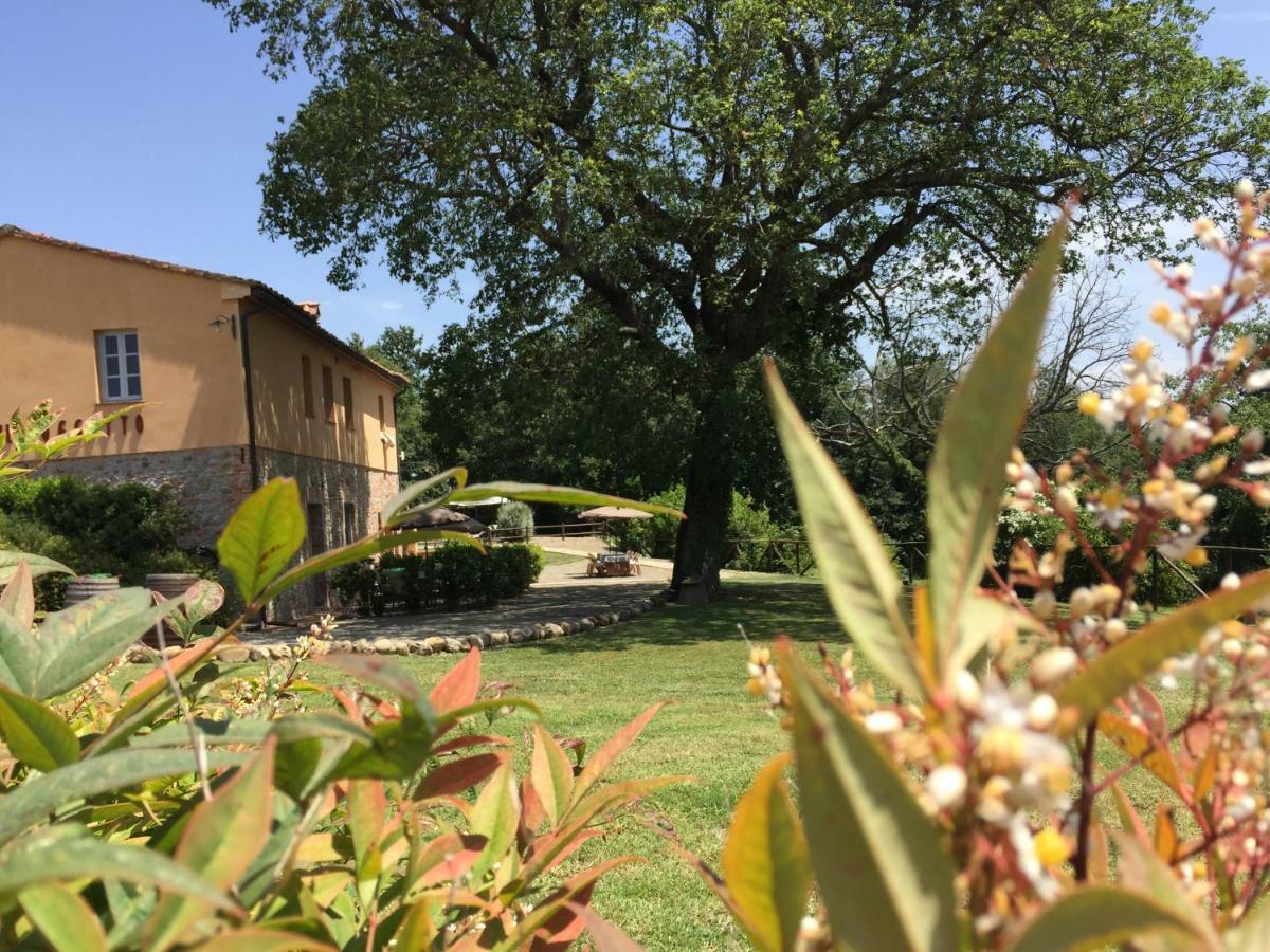 Agriturismo Pieve De Pitti Terricciola Экстерьер фото