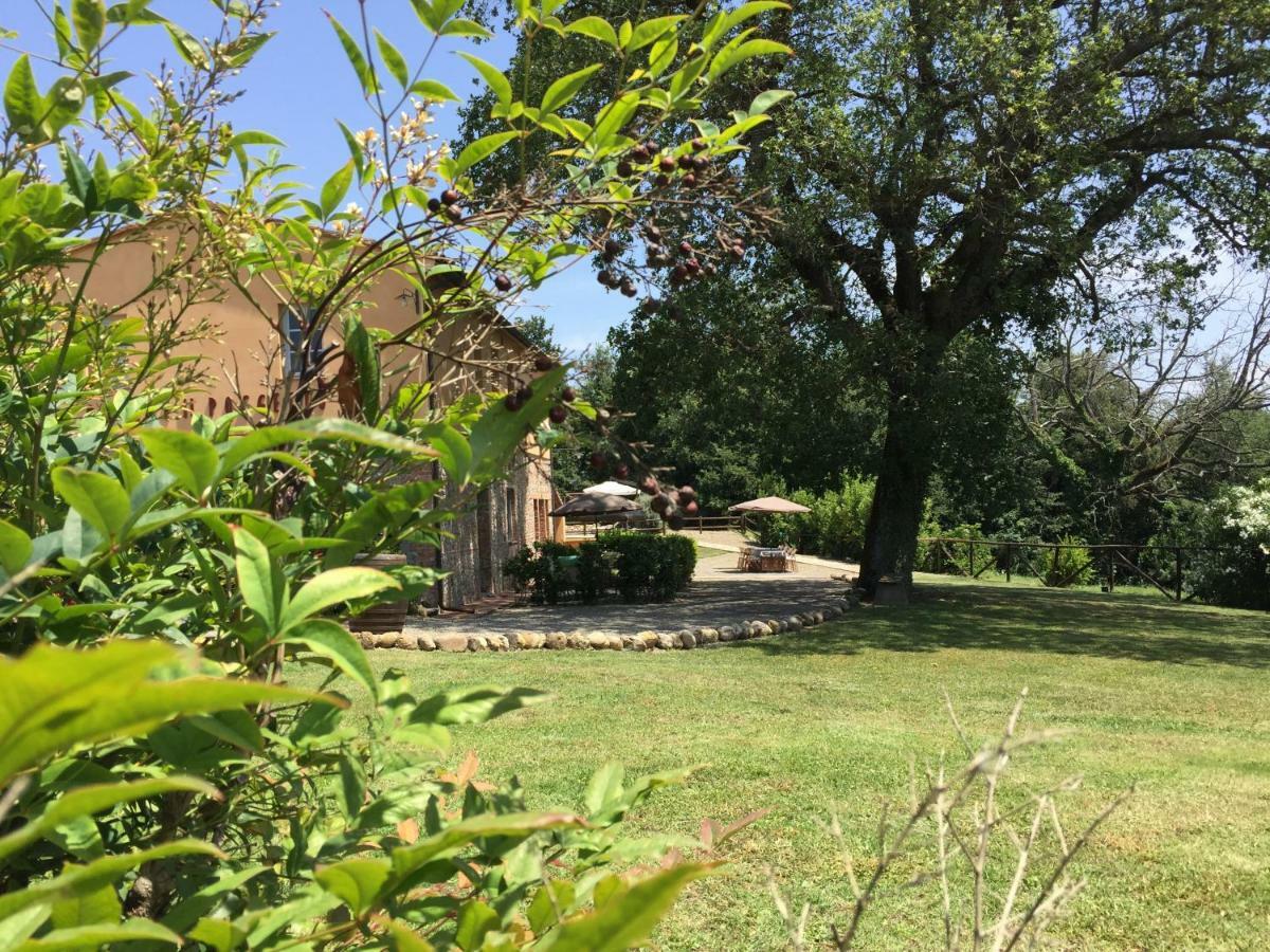 Agriturismo Pieve De Pitti Terricciola Экстерьер фото