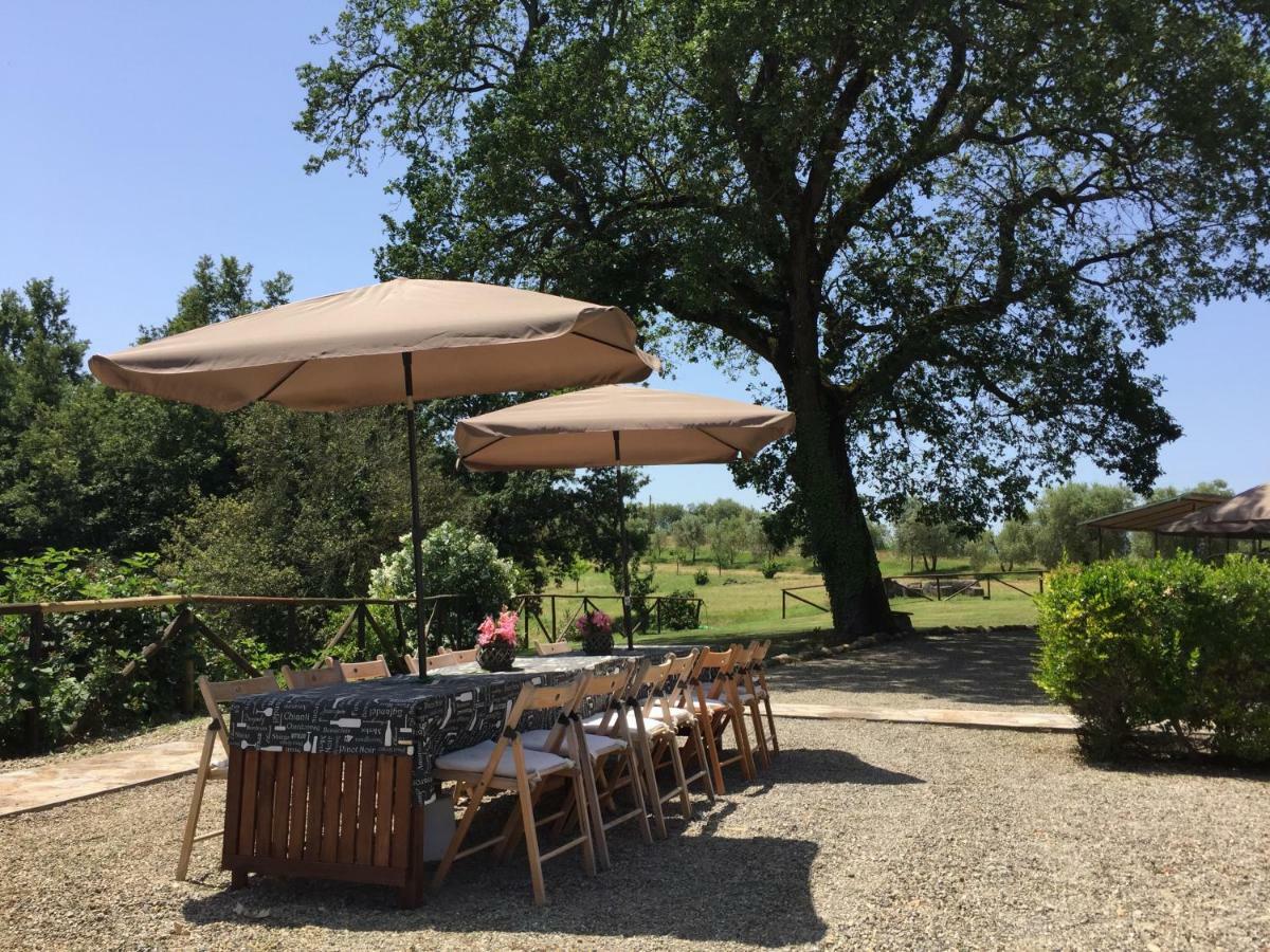 Agriturismo Pieve De Pitti Terricciola Экстерьер фото