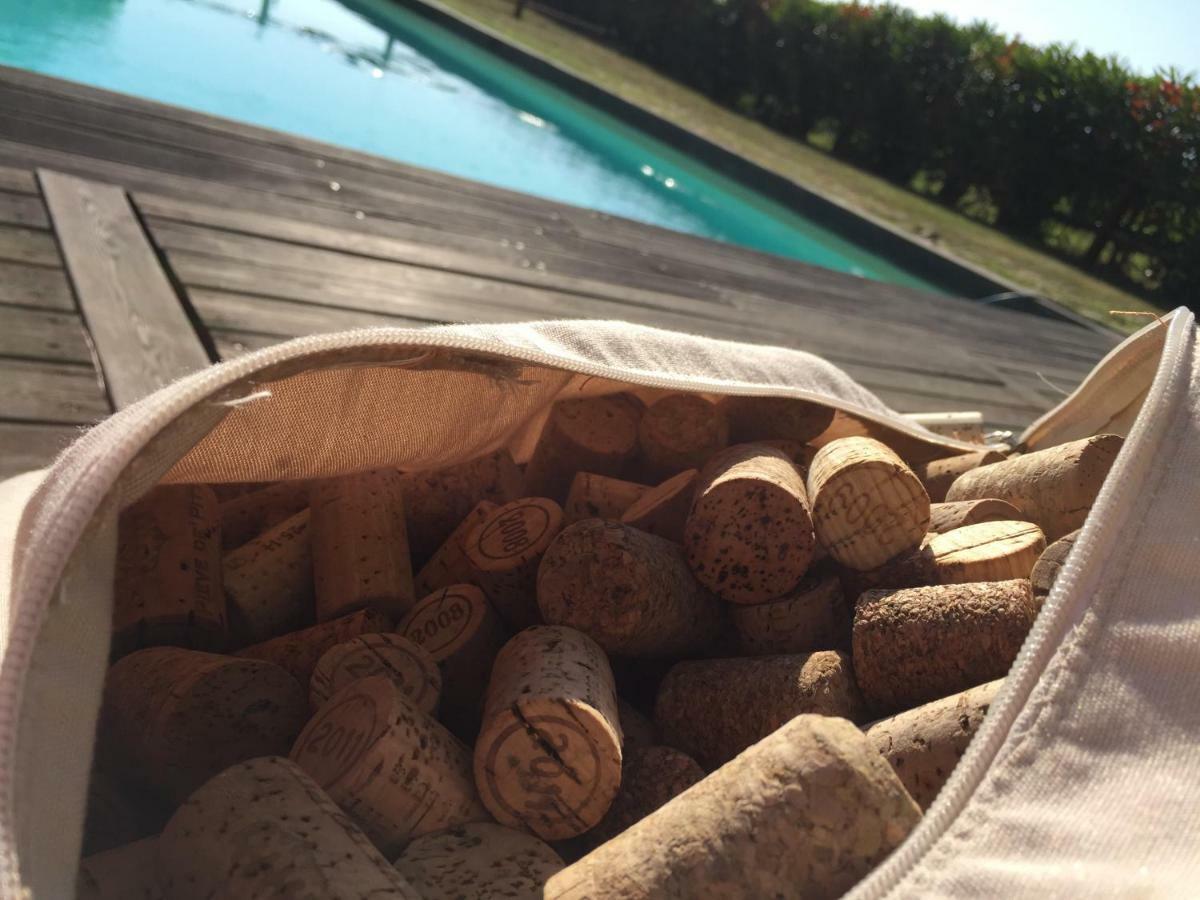 Agriturismo Pieve De Pitti Terricciola Экстерьер фото