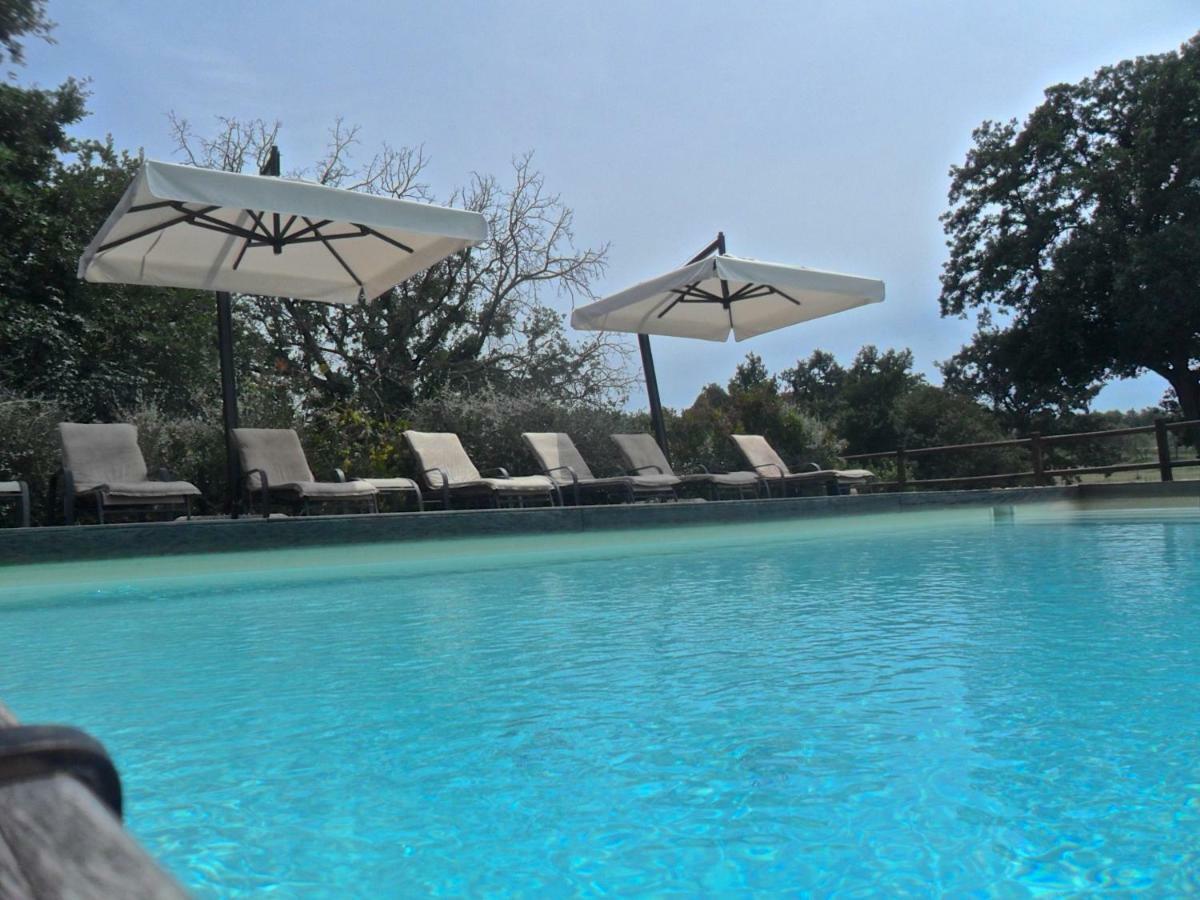 Agriturismo Pieve De Pitti Terricciola Экстерьер фото